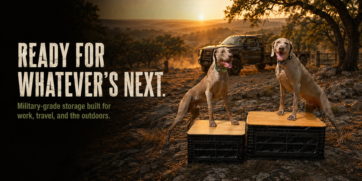 Two Weimaraners standing on Outstandards Transformer Crates in the Texas Hill Country at sunset
